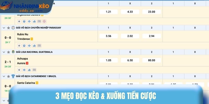 Kinh Nghiệm Đánh Kèo Nhà Cái - Cách Chơi Bền, Không Cháy Vốn 2 3 mẹo đọc kèo & xuống tiền cược